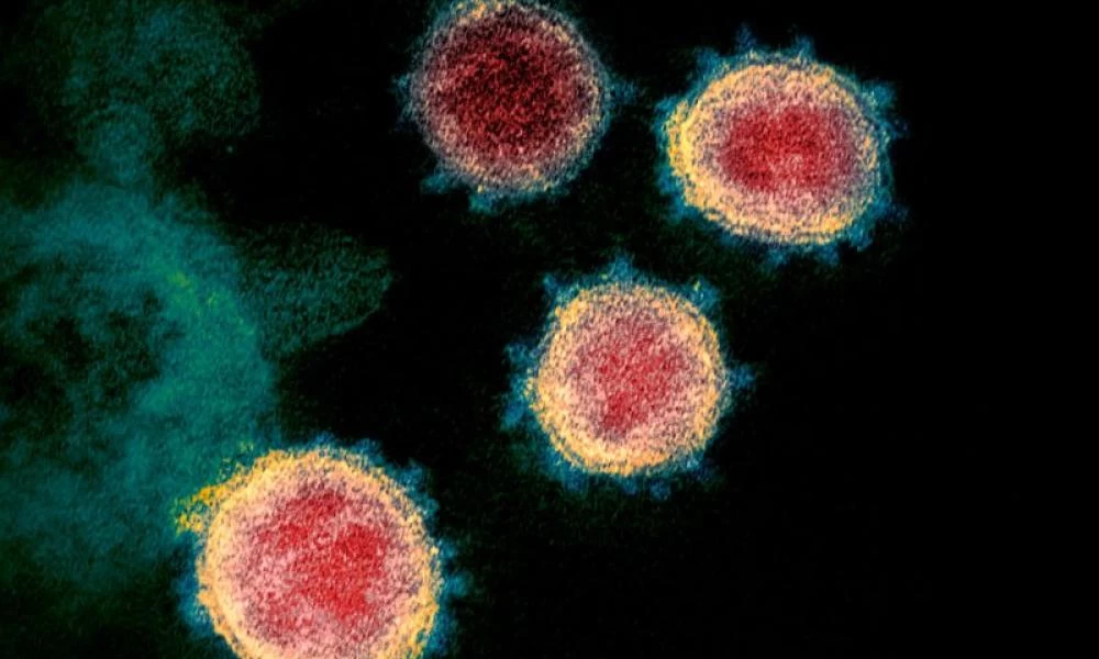 Βρέθηκε το μυστικό της υψηλής μολυσματικότητας του Covid-19